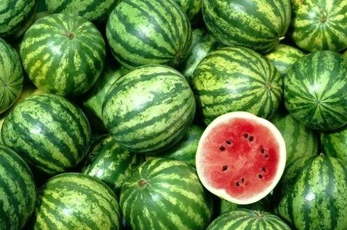 免费吃瓜大全QQ群与吃瓜娱乐联盟：网络热门事件中的两大聚集地