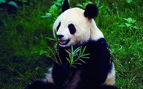 贺峻霖严浩翔最新动态曝光，娱乐圈幕后故事大揭秘！