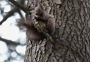 娱乐圈那些转折：吃瓜女艺人的团体人生与情感纠葛揭秘