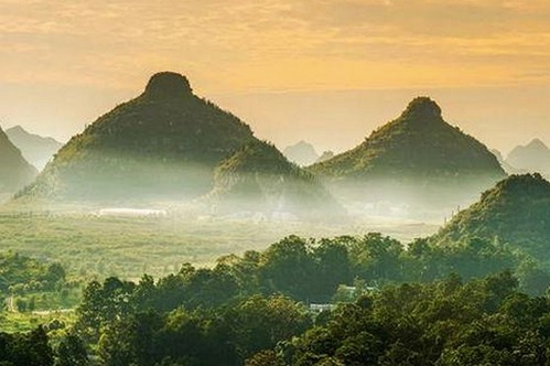 吃瓜变明星？娱乐圈背后的喜怒哀乐揭秘