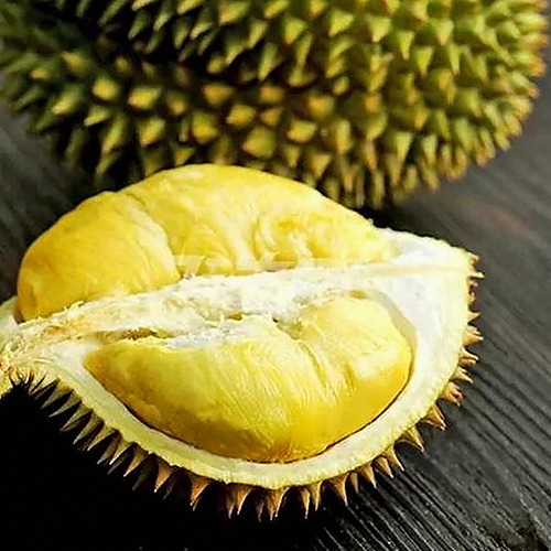 毛不易与刘宇宁：娱乐圈“喵毛”友情的甜蜜碰撞