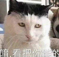 揭秘娱乐圈多面故事：吃瓜与热点一览