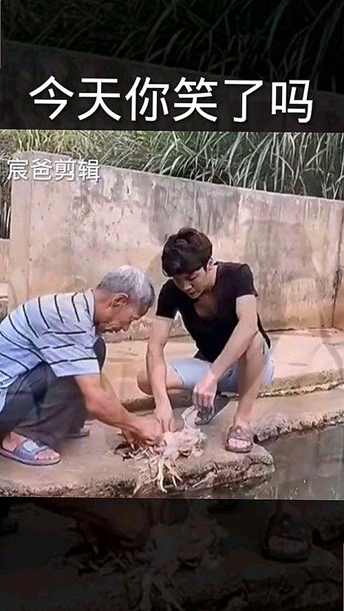 娱乐圈吃瓜真相与国产在线视频崛起全解析